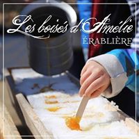 logo boises.amelie