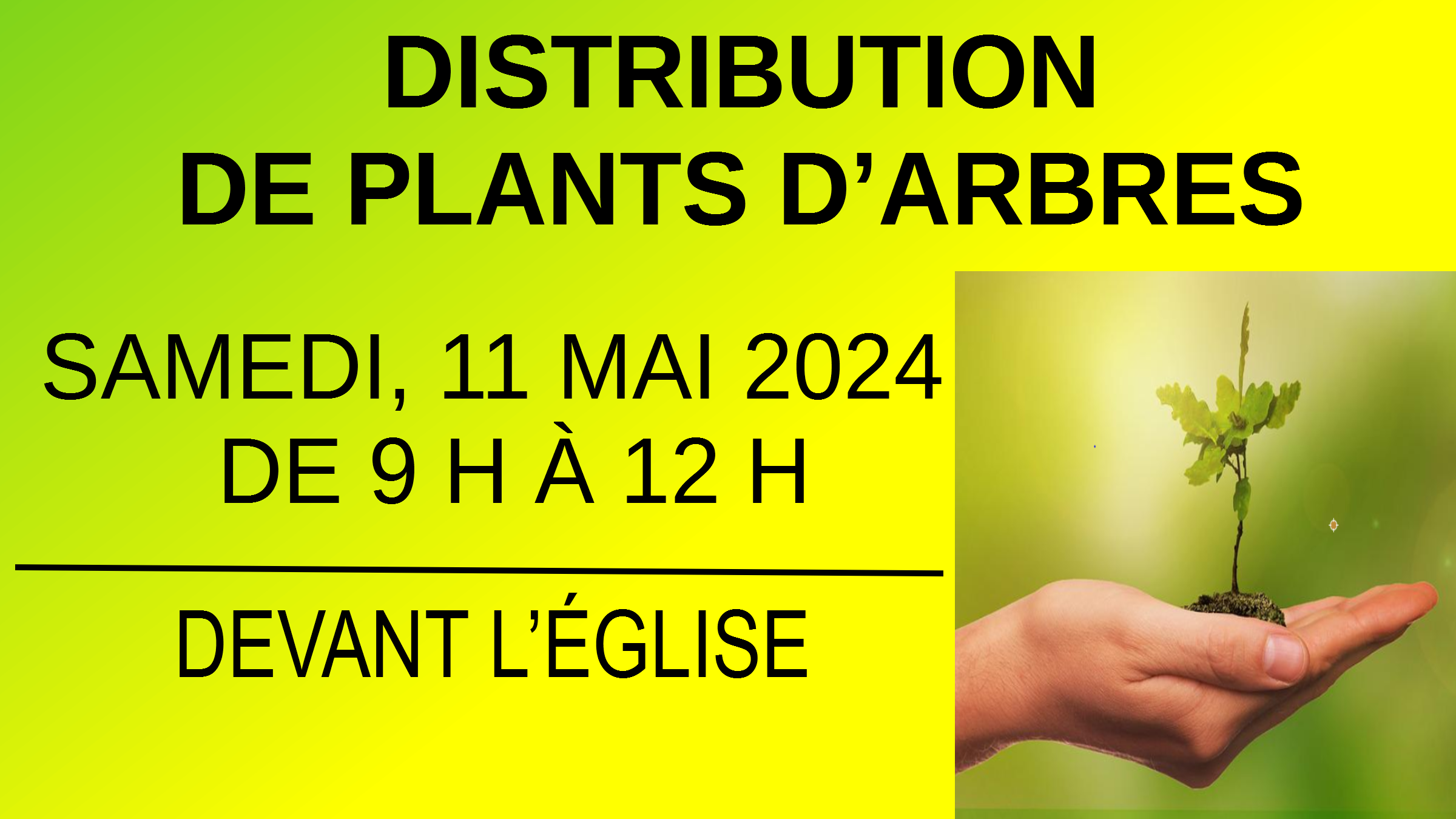 2024 distribution de plants darbres
